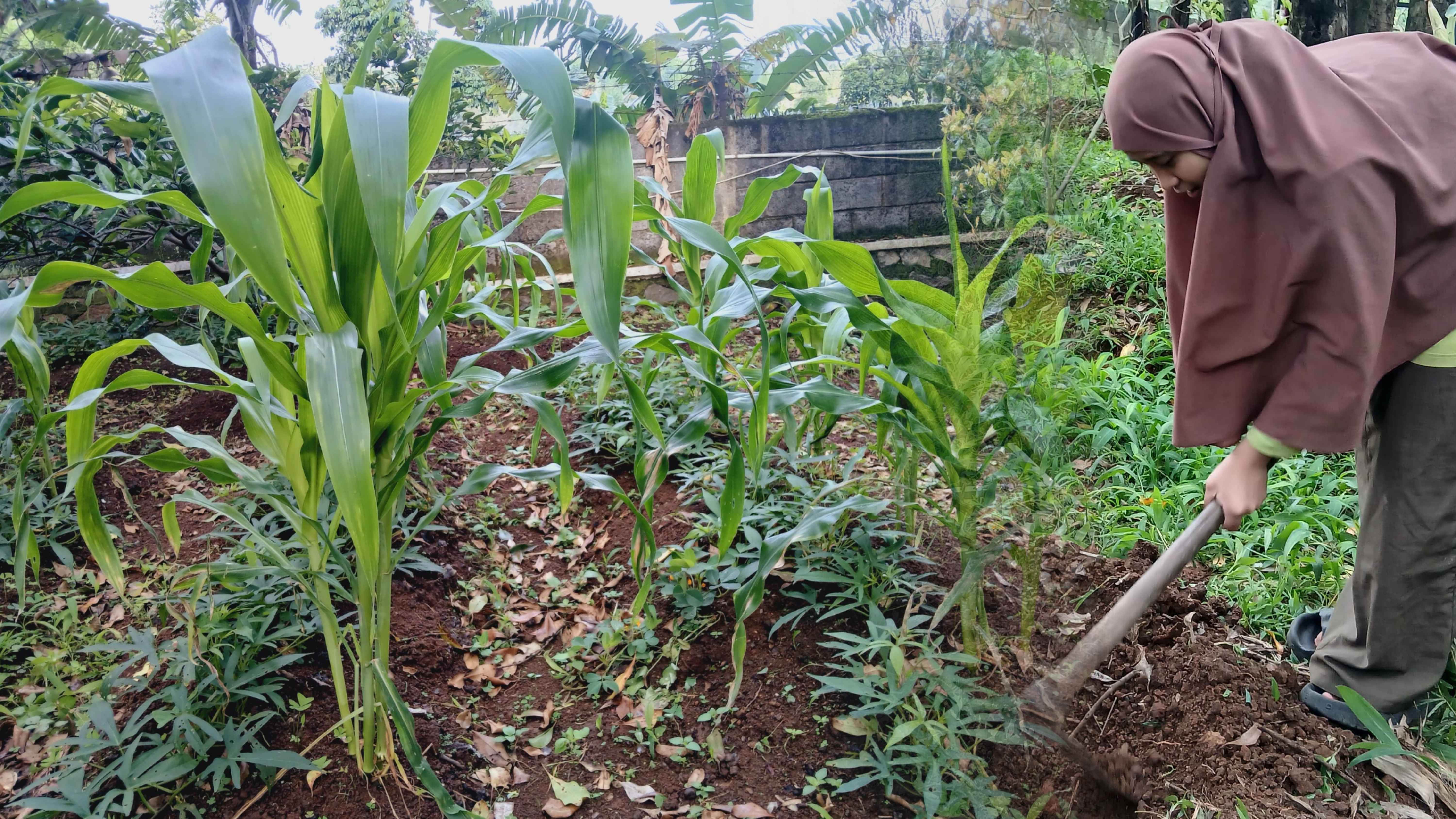 IBS Empowerment Community Project